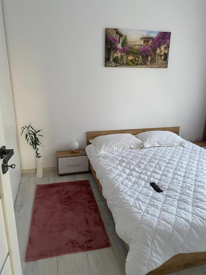 Good Vibes Apartment オラデア エクステリア 写真